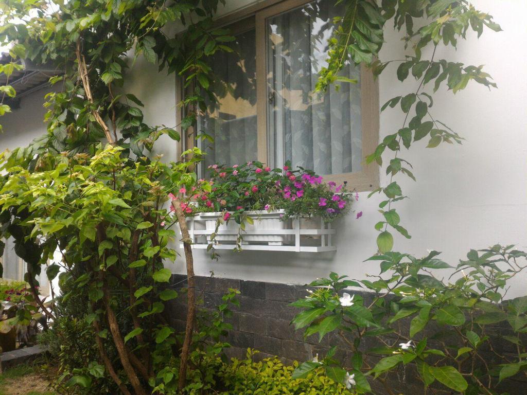 Villa Sunshine